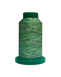 9805MK Shades of Grass Isacord Variegated 1000m